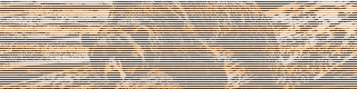 Bearly Coping (and More)