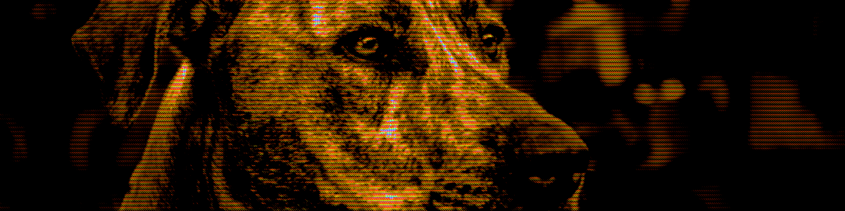 Release the Hounds!